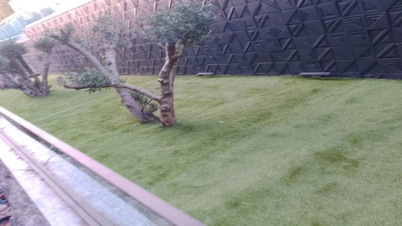 Doğal Çim ile Birebir Aynı Yapay Çimler